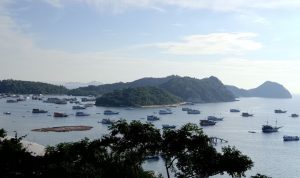 Labuanbajotoday