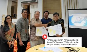 Labuanbajotoday