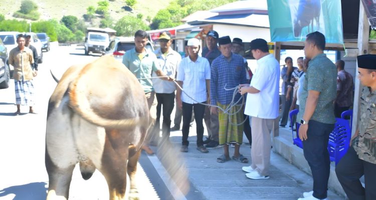Labuanbajotoday