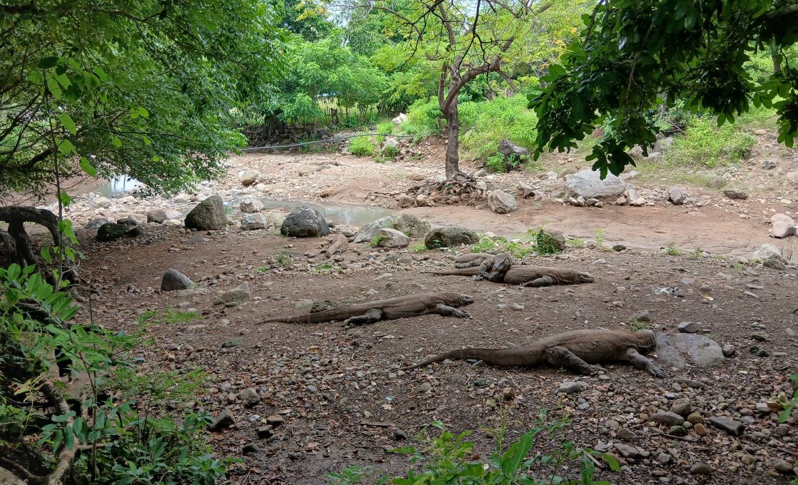 Labuanbajotoday