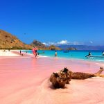 Labuanbajoholiday