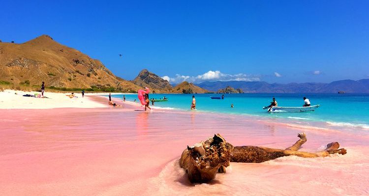 Labuanbajoholiday