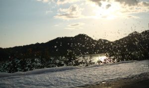 Labuanbajotoday