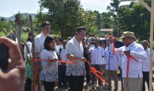 Labuanbajotoday