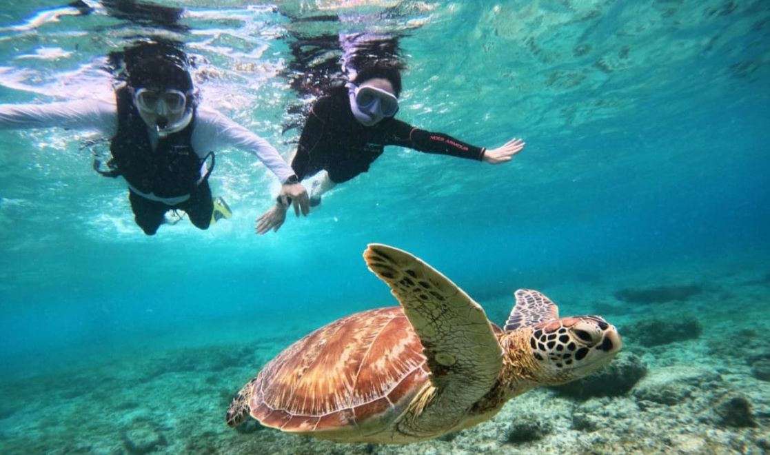 Pulau Manjarite Labuanbajotoday