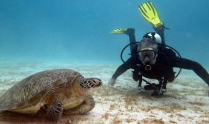 Siaba Besar Labuan Bajo