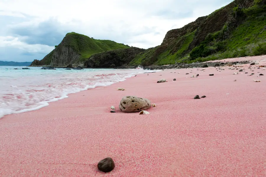 Pantai Pink Komodo Labuanbajotoday