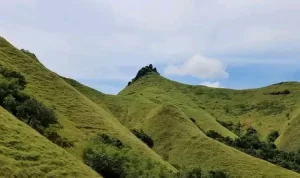 Golo Mori Labuanbajotoday