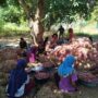 Labuanbajotoday