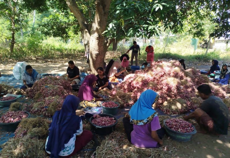 Labuanbajotoday